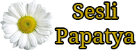 partner-image